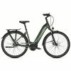 Descheemaeker Raleigh Femme Bristol 8
