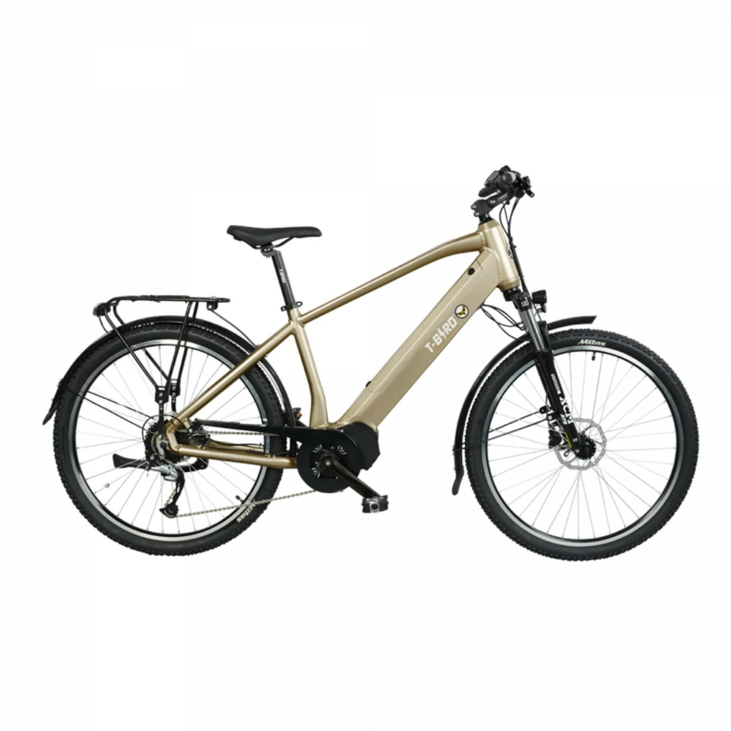 T-Bird Golden Gate Homme 3 T-Bird Golden Gate Homme