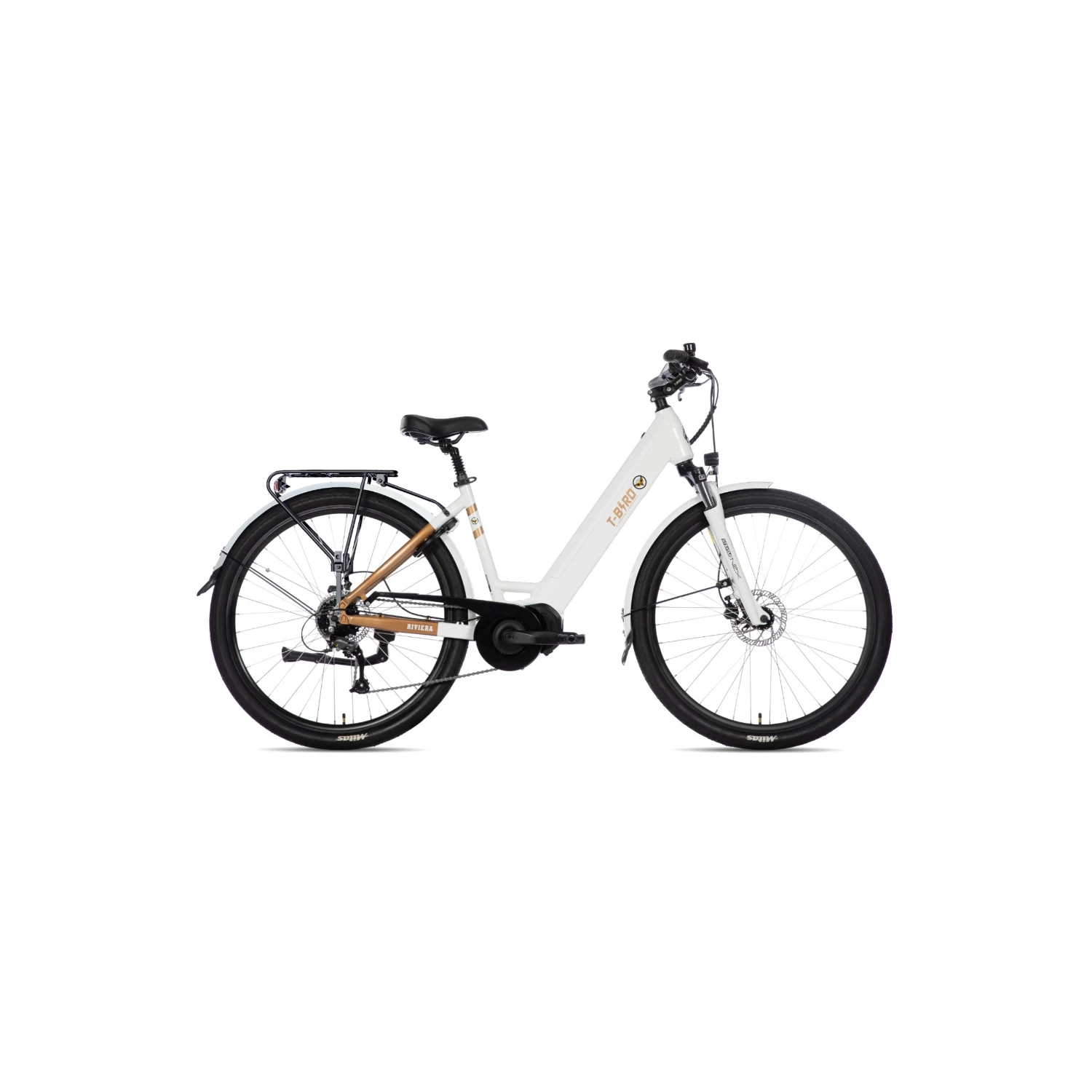 T-Bird Riviera 2023 3 T-Bird Riviera 2023